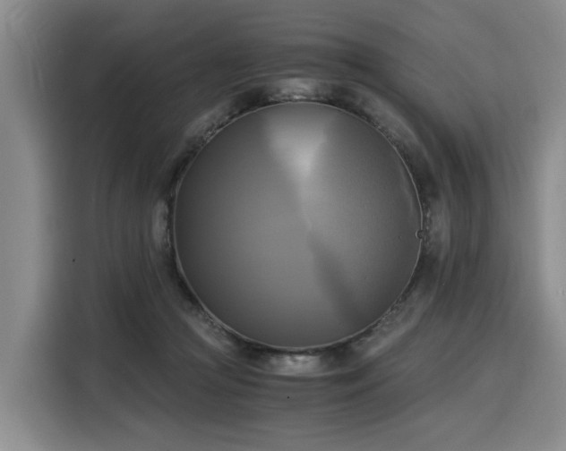 X0000116020361200911271120