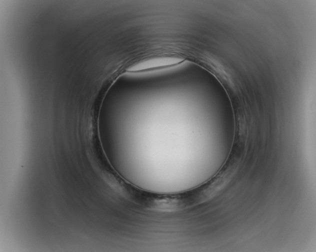 X0000116020362200911271120