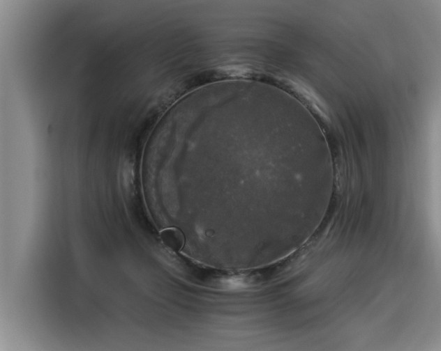 X0000116020365200911271120