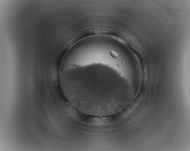 X0000116020367200911271121