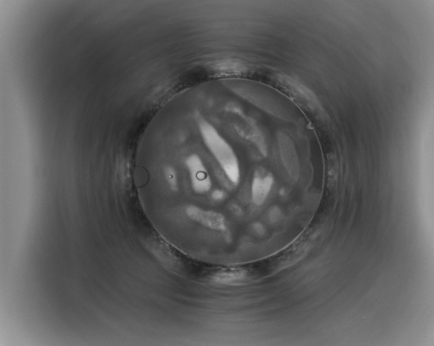 X0000116020369200911271121