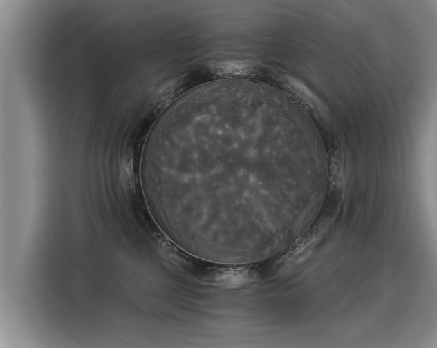 X0000116020377200911271121