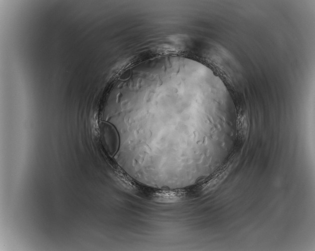 X0000116020381200911271121