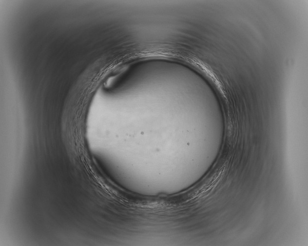 X0000116020385200911271120