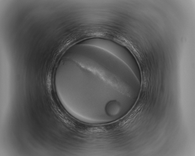 X0000116020386200911271120