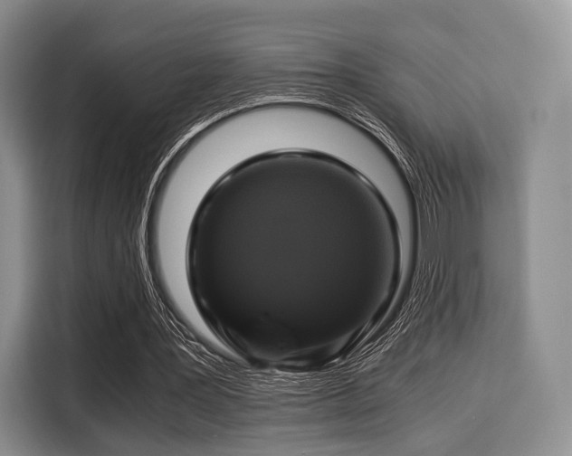 X0000116020387200911271120