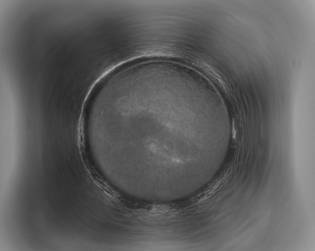 X0000116020388200911271120