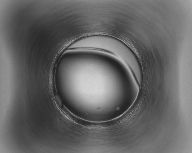 X0000116020389200911271120