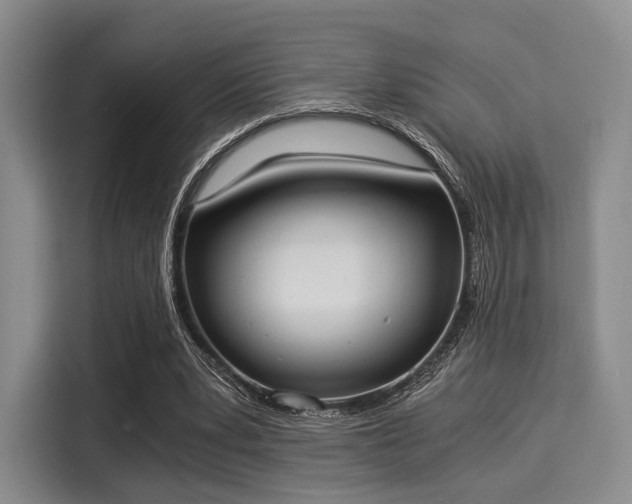 X0000116020391200911271120