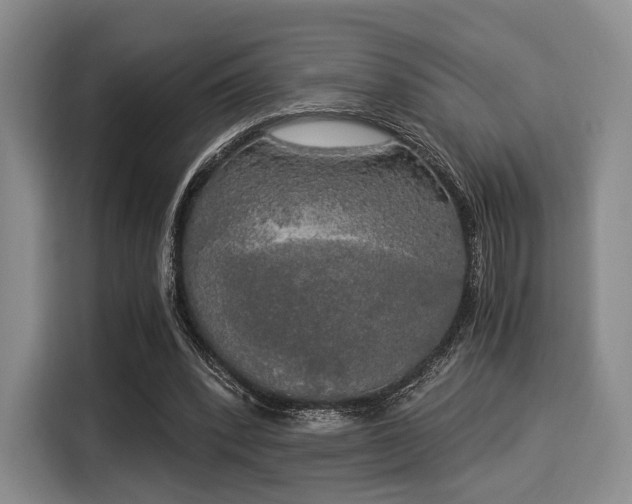 X0000116020392200911271120