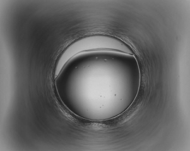 X0000116020393200911271120