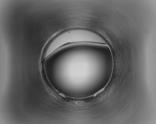 X0000116020395200911271120