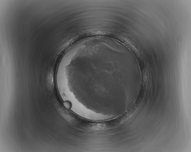 X0000116020398200911271120