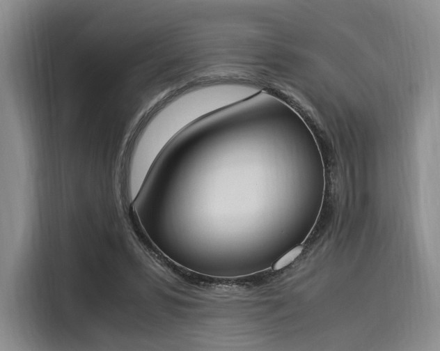 X0000116020399200911271120