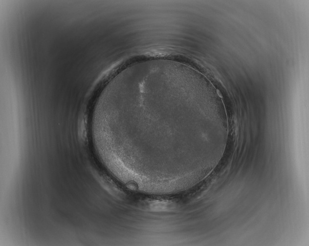 X0000116020400200911271120