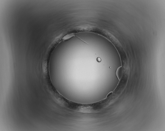 X0000116020403200911271120