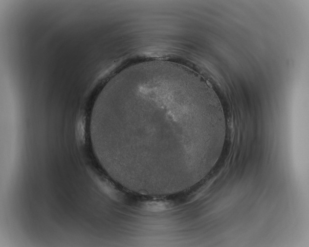 X0000116020404200911271120