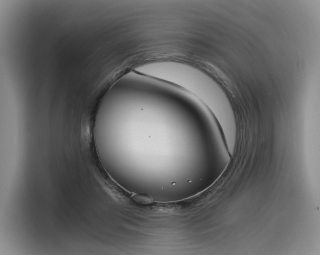 X0000116020405200911271120