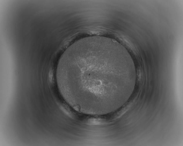 X0000116020408200911271120