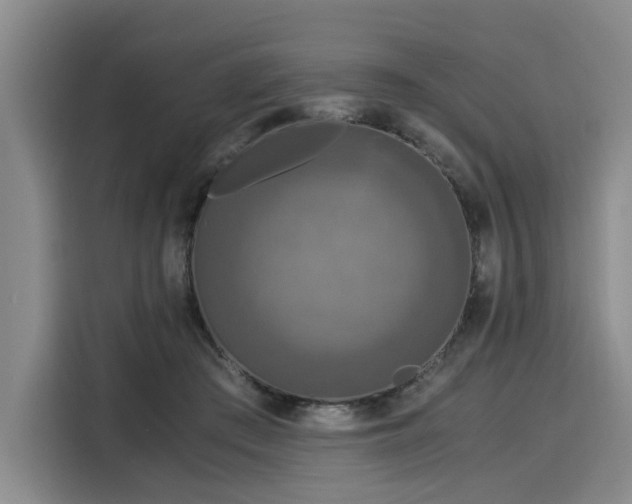 X0000116020409200911271120