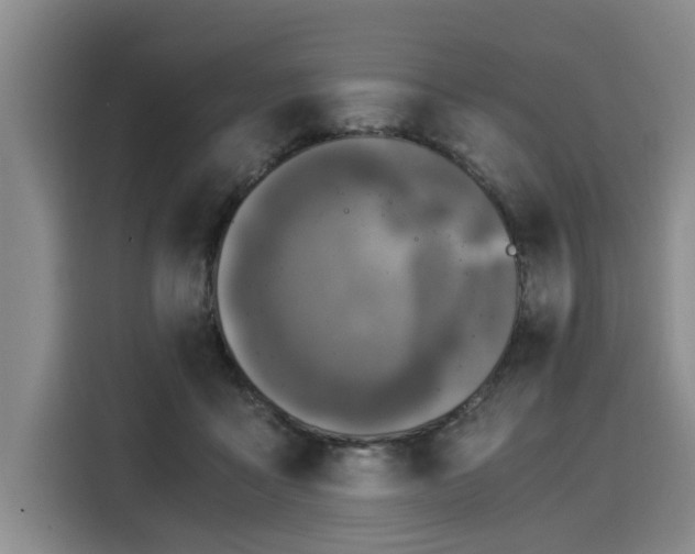 X0000116020411200911271120