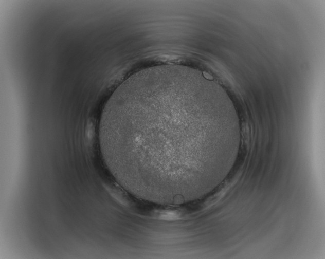 X0000116020412200911271120