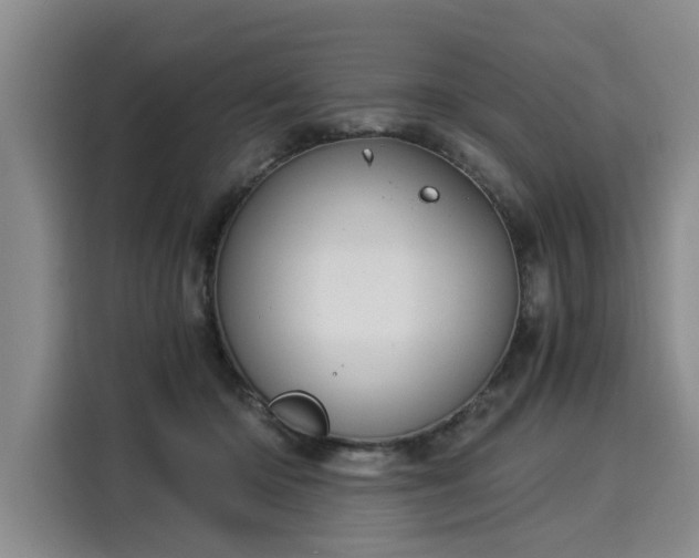 X0000116020414200911271120