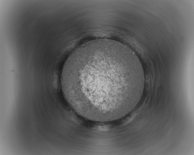 X0000116020416200911271120