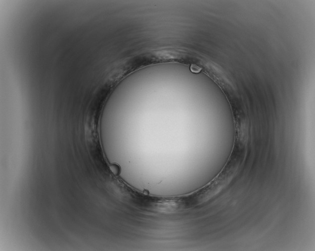 X0000116020418200911271120