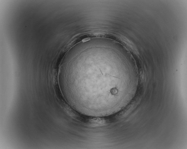 X0000116020421200911271120
