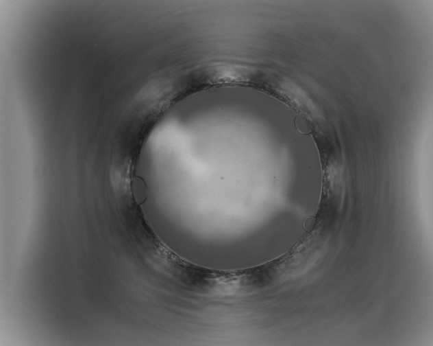 X0000116020423200911271120