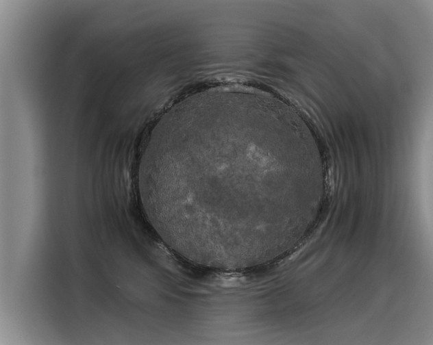 X0000116020424200911271120