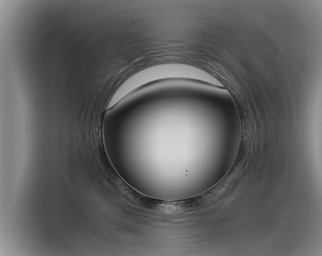 X0000116020425200911271120