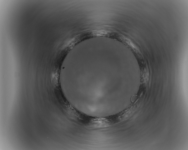 X0000116020427200911271120