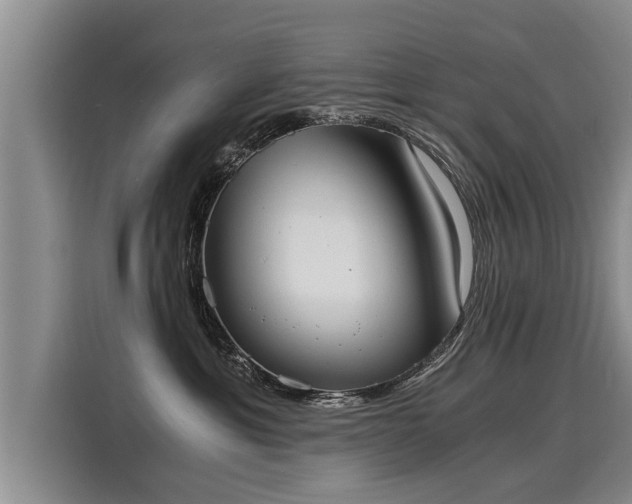 X0000116020429200911271120