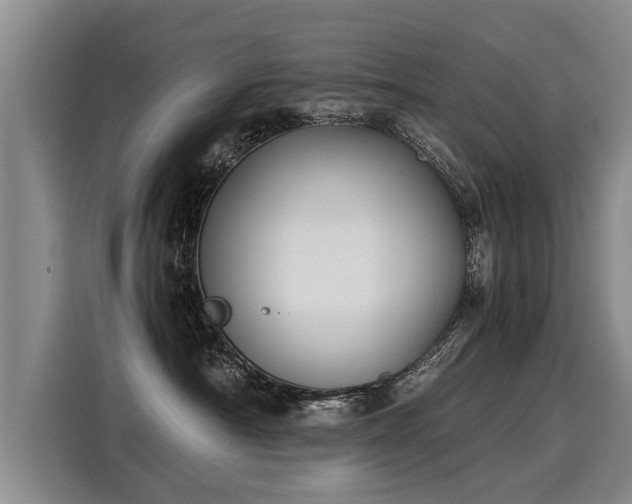 X0000116020430200911271120