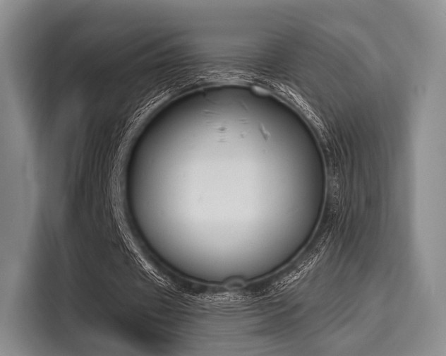 X0000116020433200911271119