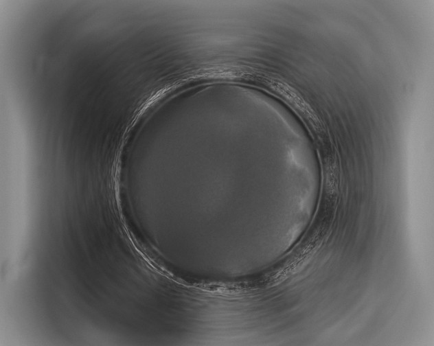 X0000116020434200911271119