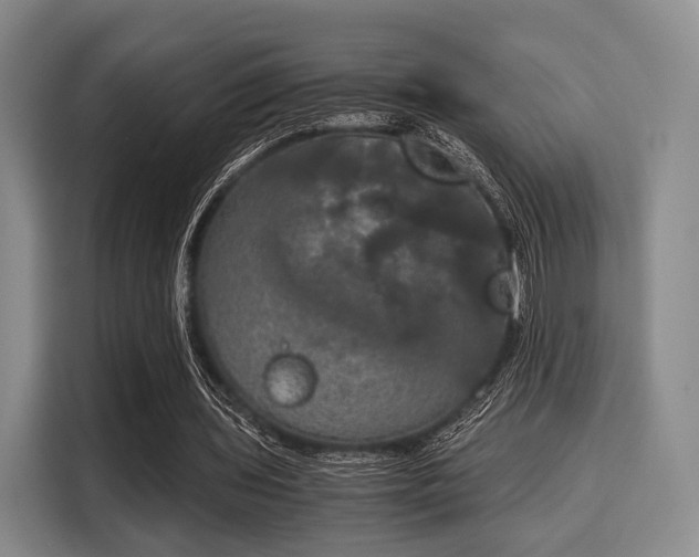 X0000116020435200911271119