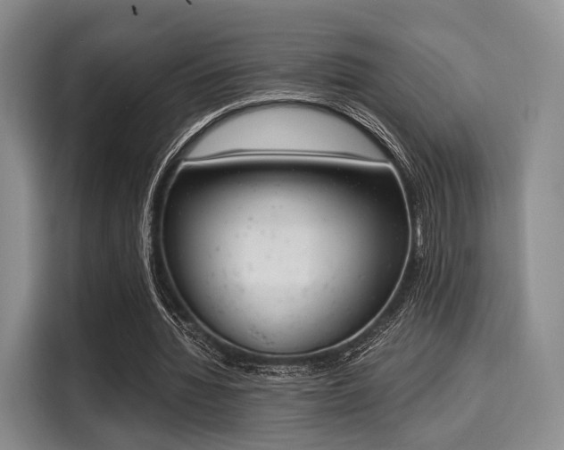 X0000116020436200911271119