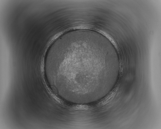 X0000116020437200911271119