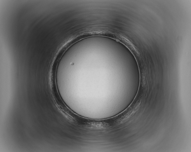 X0000116020439200911271119