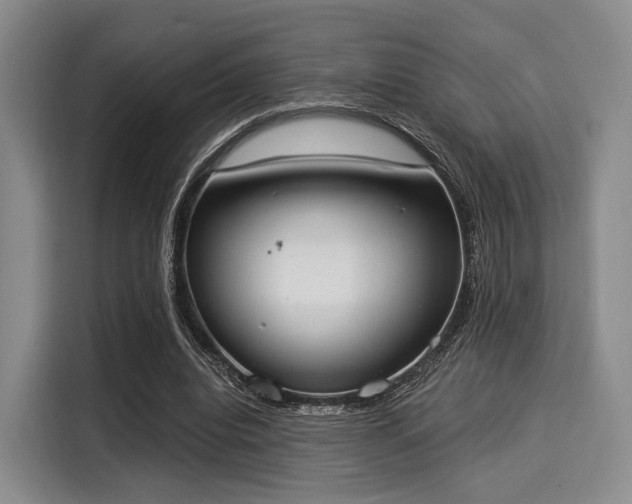 X0000116020440200911271119