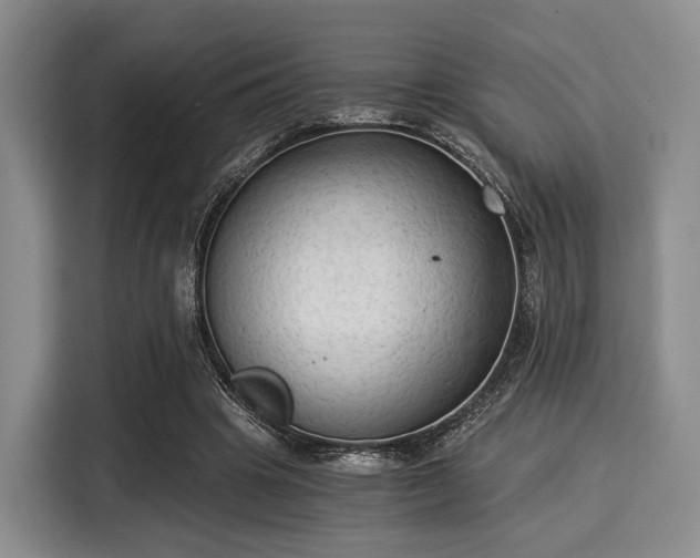 X0000116020441200911271119