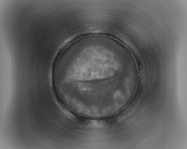 X0000116020442200911271119