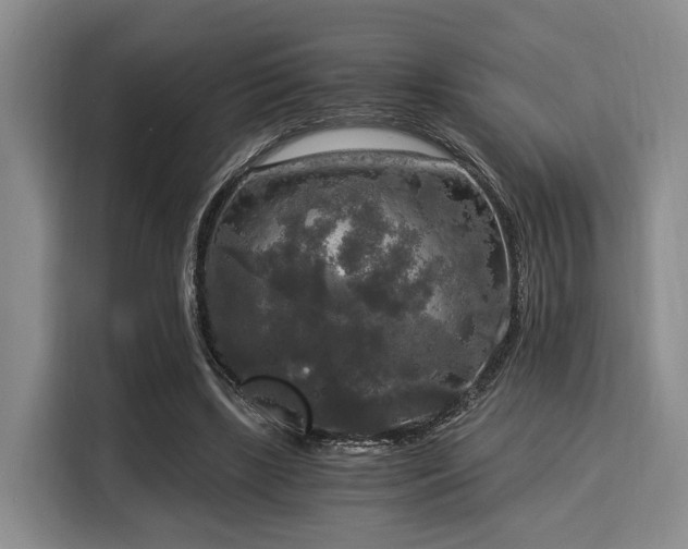 X0000116020443200911271119