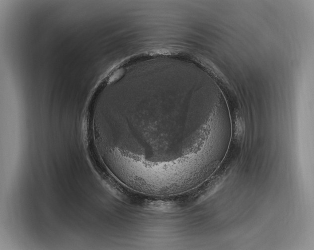 X0000116020444200911271119