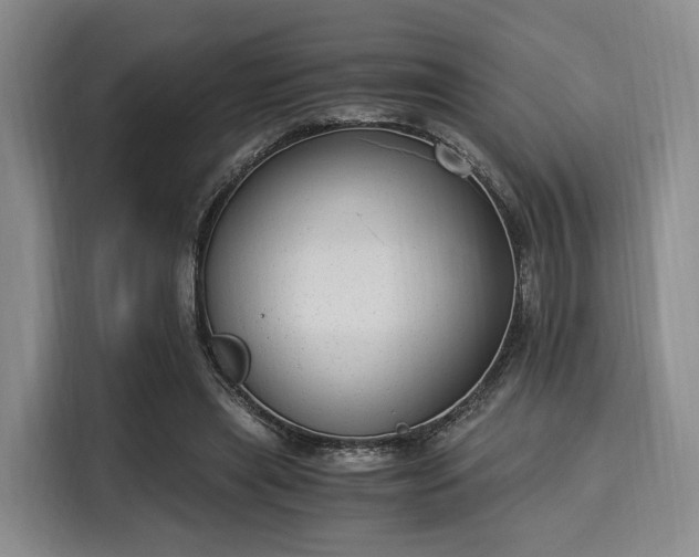 X0000116020445200911271119