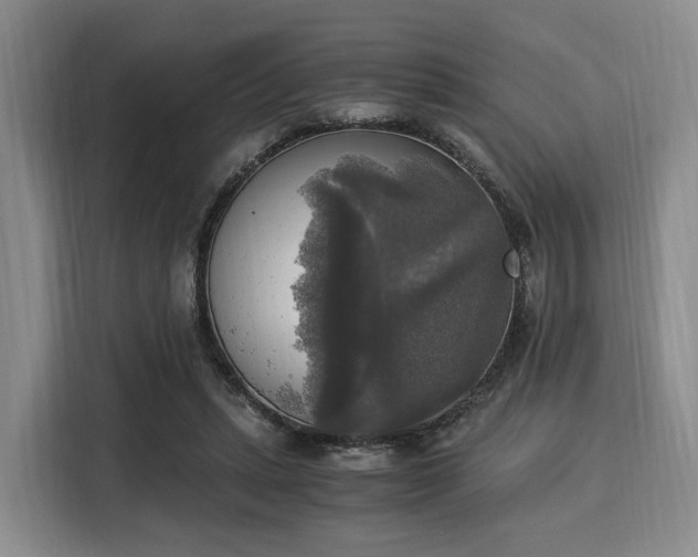 X0000116020447200911271119