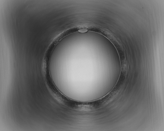 X0000116020448200911271119